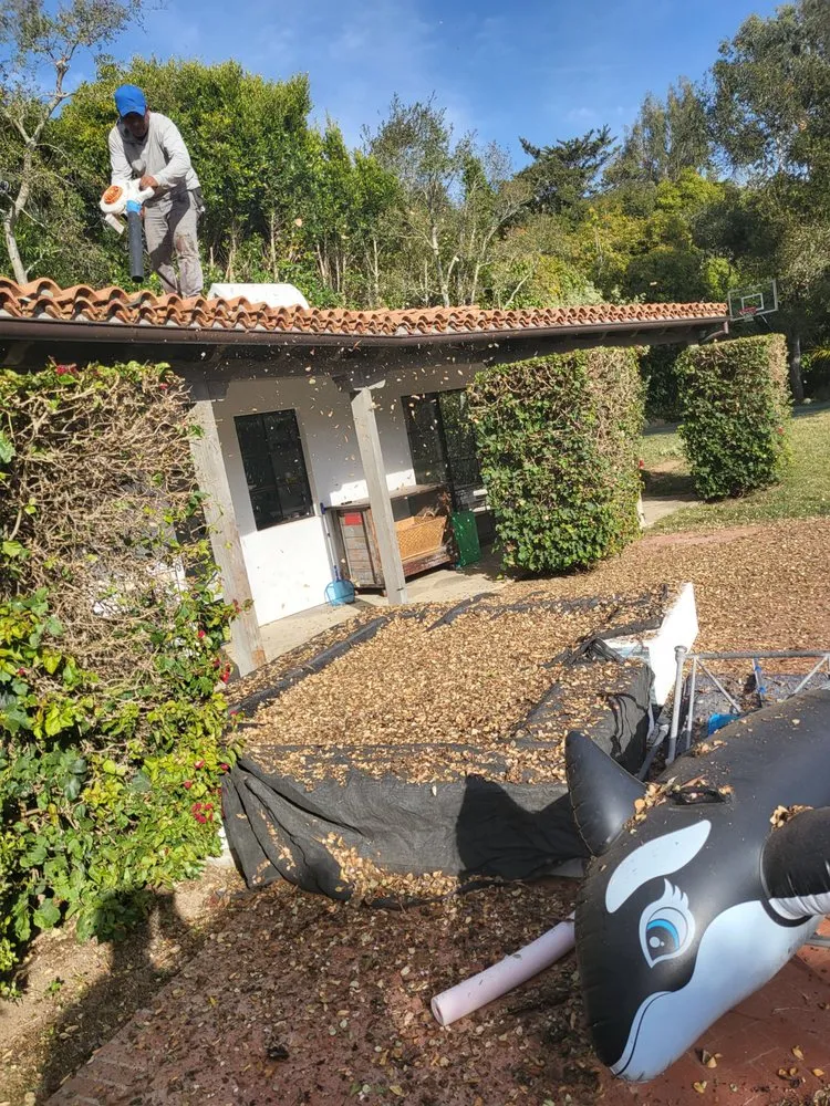 Reliable yard maintenance near you across Santa Barbara, CA - Caliever Landscapes