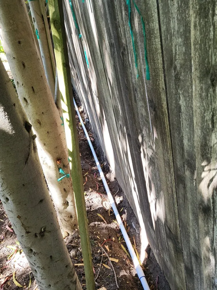 Expert yard maintenance in Santa Barbara, CA by Caliever Landscapes