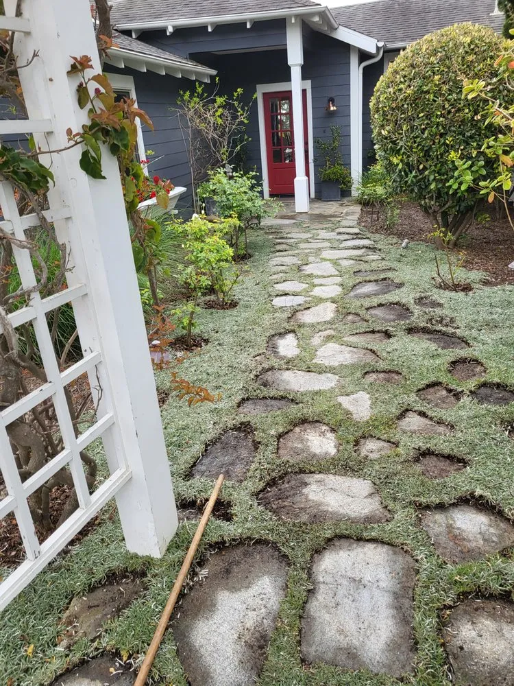 Professional landscape installation in Santa Barbara, CA by Caliever Landscapes