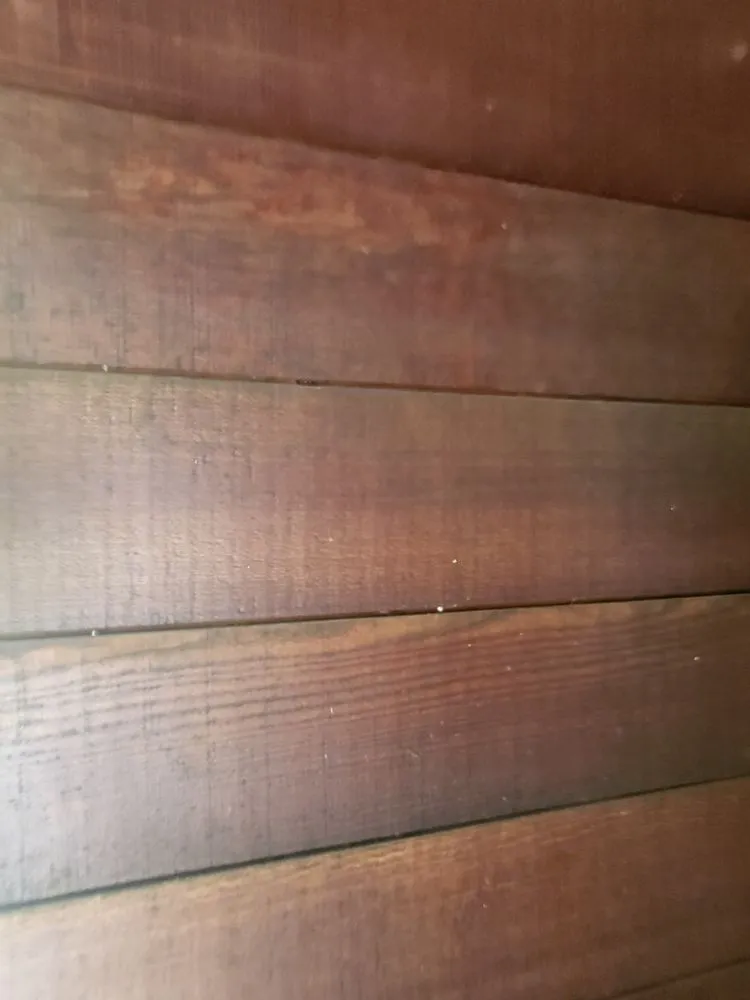 Affordable yard maintenance in Santa Barbara, CA - Caliever Landscapes