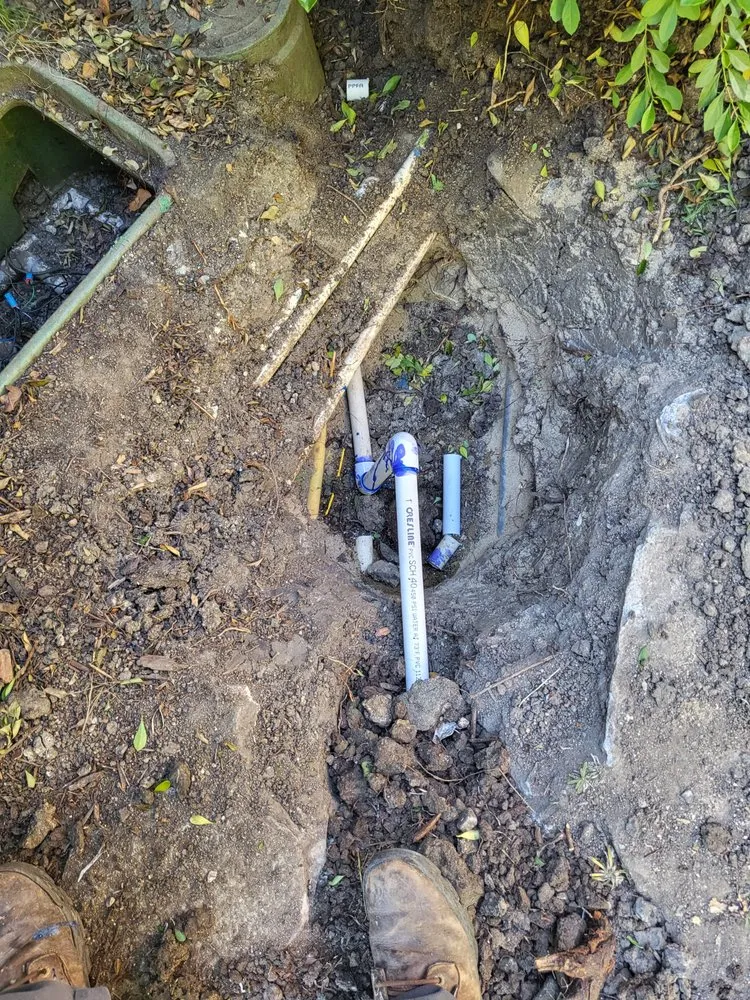 Reliable lawn care service experts serving Santa Barbara, CA - Caliever Landscapes