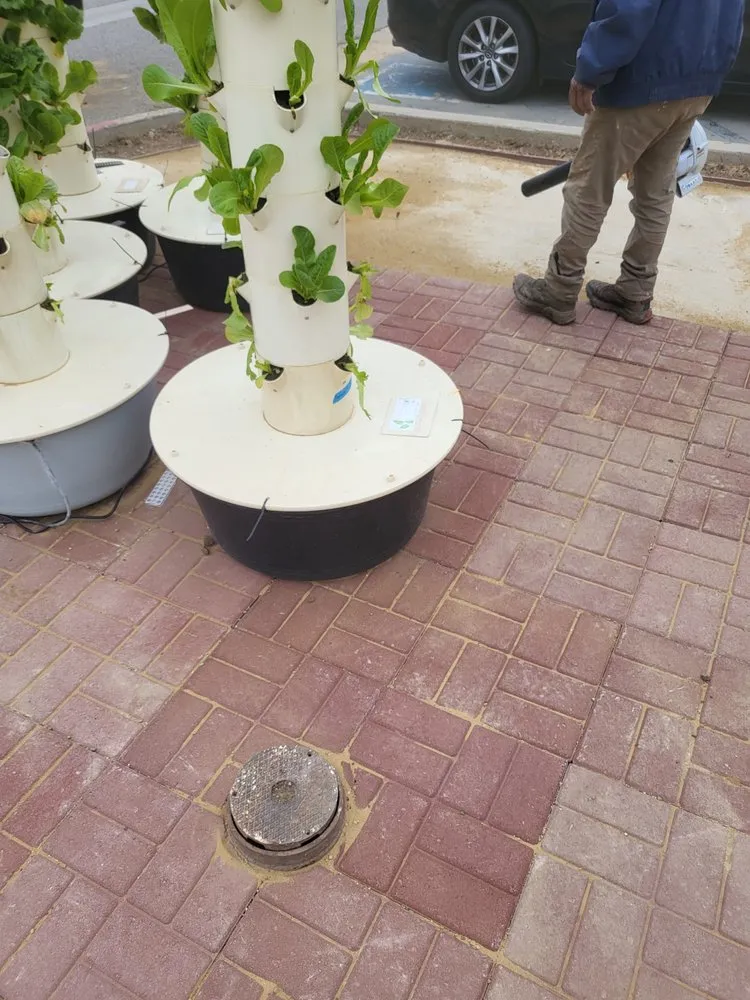 Custom lawn care service for residential properties across Santa Barbara, CA - Caliever Landscapes