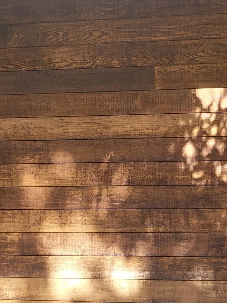 Professional lawn care service in Santa Barbara, CA by Caliever Landscapes