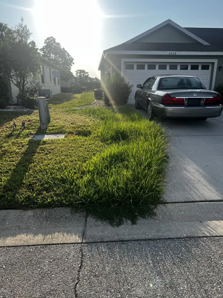Expert landscape design in Bradenton, FL by Califano Cuts