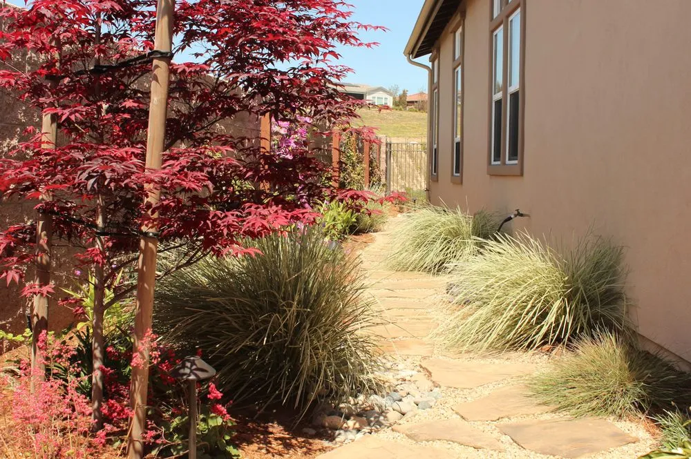 Top-rated landscape installation for residential properties in Pasadena, CA by Califia Ecodesigns