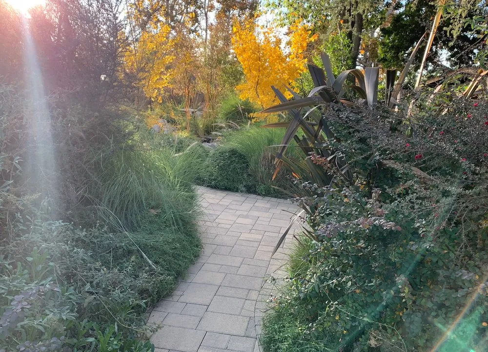 Affordable landscape design for homes in Pasadena, CA by Califia Ecodesigns