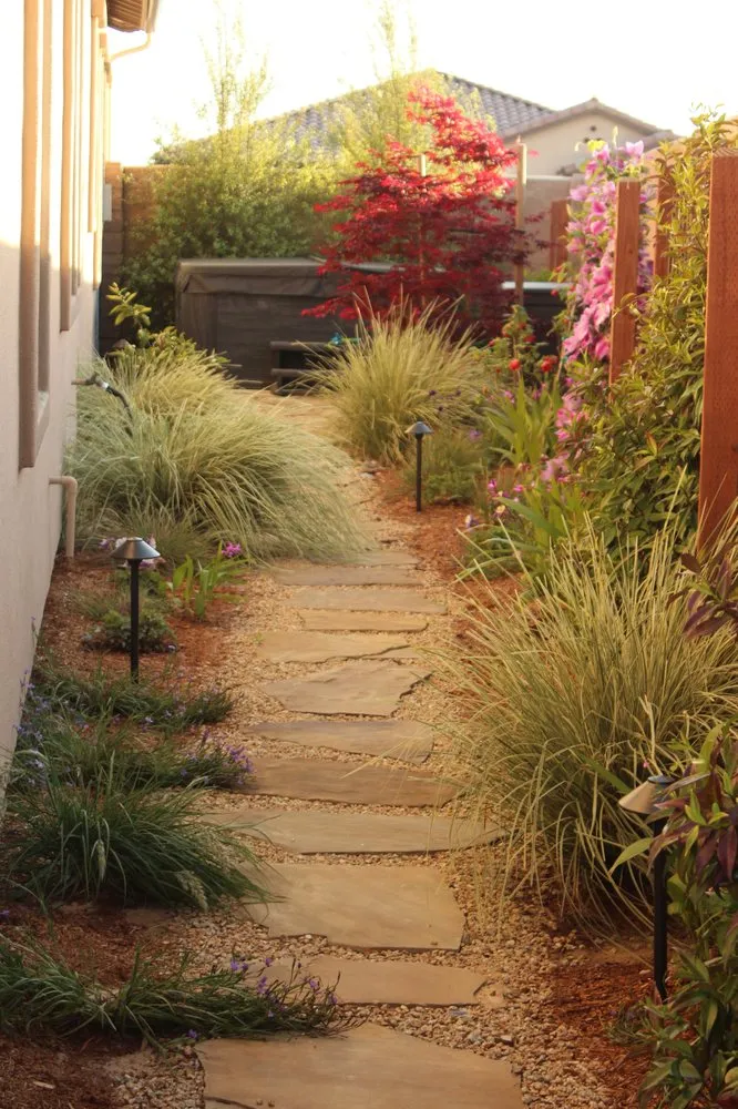 Expert landscaping services for beautiful yards across Pasadena, CA - Califia Ecodesigns