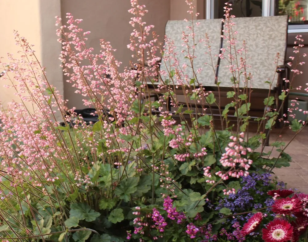 Reliable residential landscaping experts serving Pasadena, CA - Califia Ecodesigns