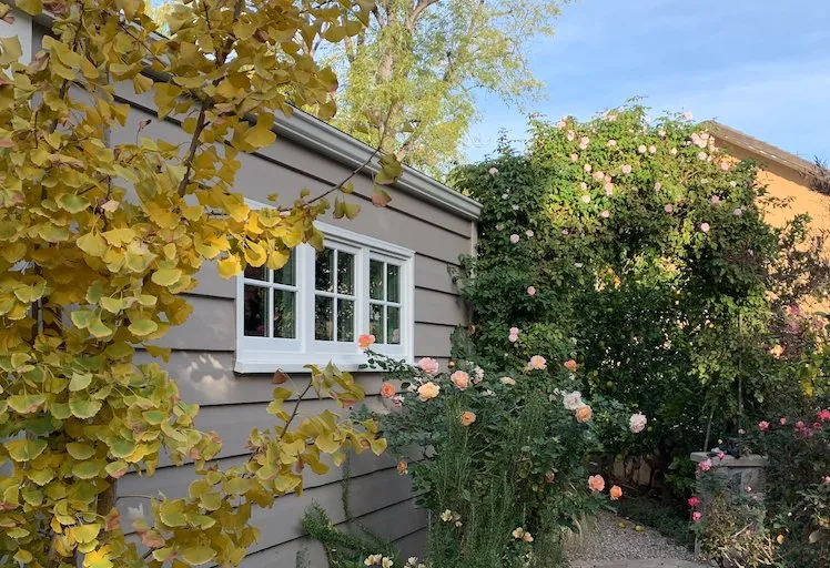 Affordable yard maintenance for homes in Pasadena, CA by Califia Ecodesigns