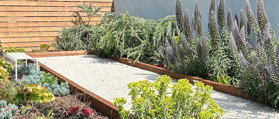 Reliable landscaping services experts serving Pasadena, CA - Califia Ecodesigns