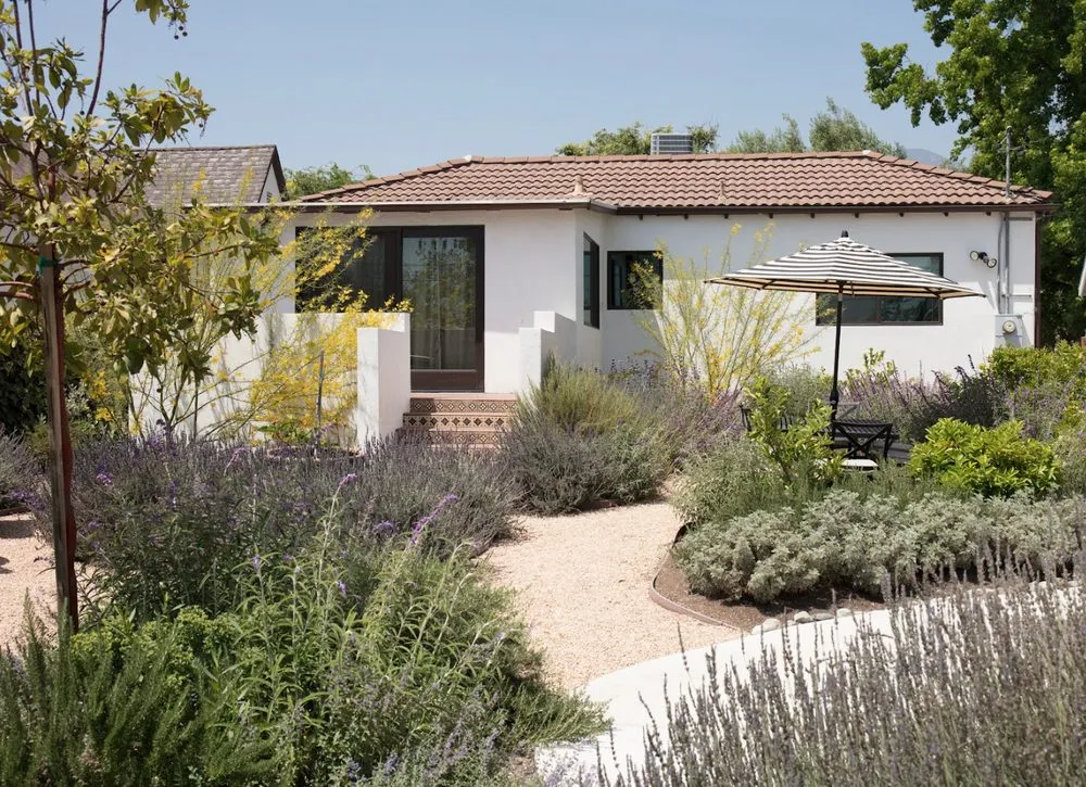 Expert yard cleanup service experts serving Pasadena, CA - Califia Ecodesigns