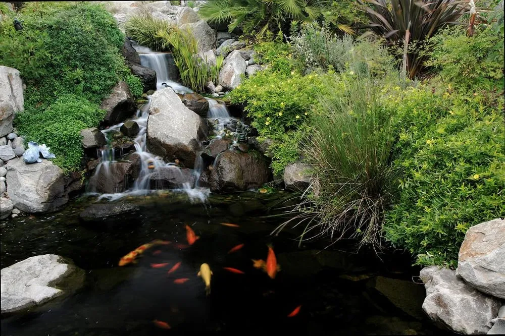 Affordable garden landscaping with custom design in Brentwood, CA by California Aqua Pros