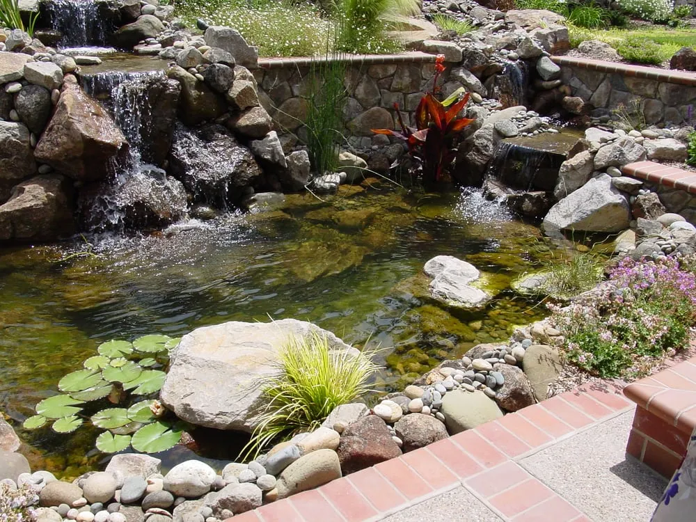 Local residential landscaping in Brentwood, CA by California Aqua Pros