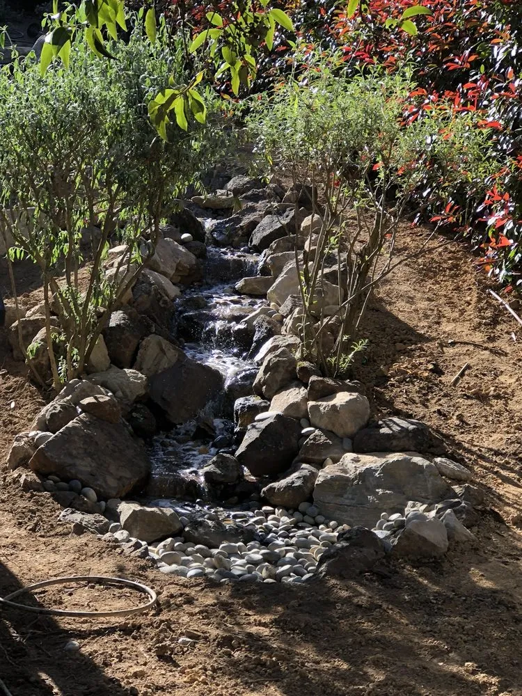 Trusted yard maintenance in Brentwood, CA by California Aqua Pros