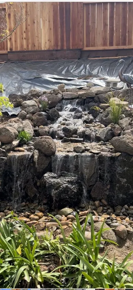 Reliable yard maintenance in Brentwood, CA by California Aqua Pros