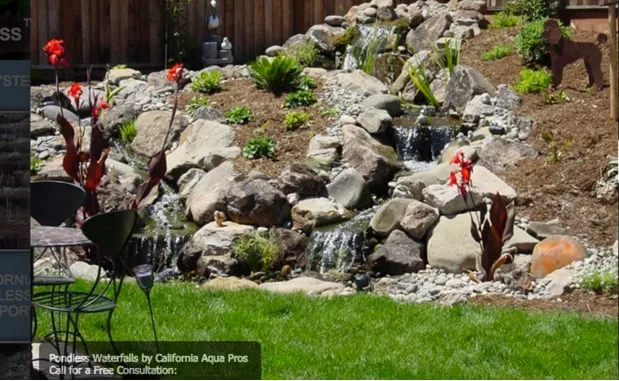Top-rated landscape installation in Brentwood, CA - California Aqua Pros