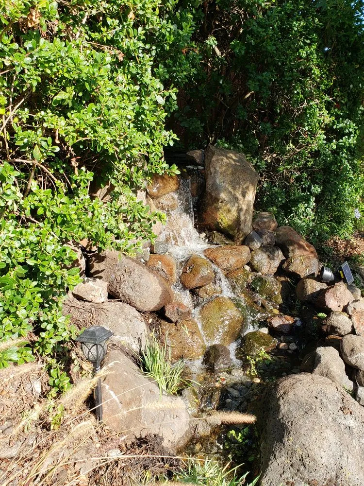 Expert outdoor landscaping experts serving Brentwood, CA - California Aqua Pros