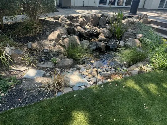 California Aqua Pros Logo