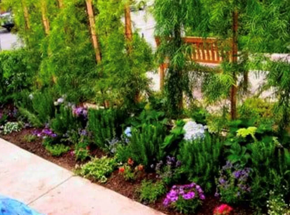 Expert landscape design for homes across Sacramento, CA - California Backyard Solutions