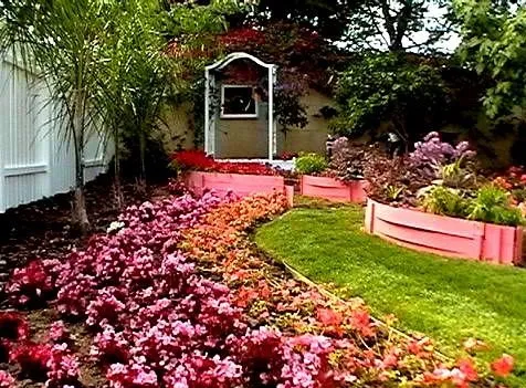 Affordable yard cleanup service experts serving Sacramento, CA - California Backyard Solutions