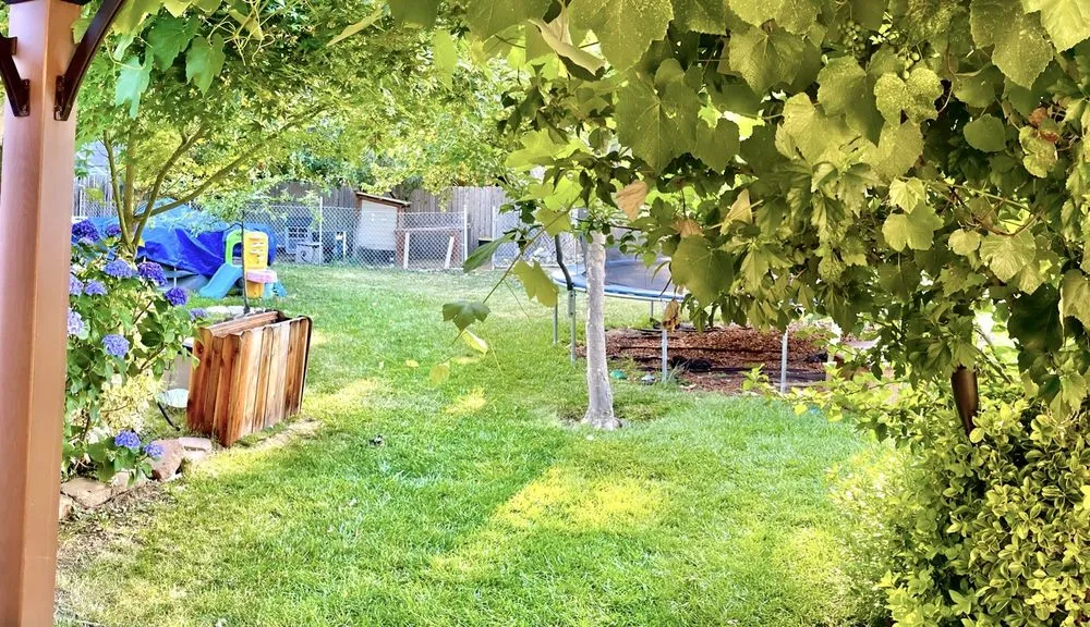 Professional landscape design experts serving Sacramento, CA - California Backyard Solutions