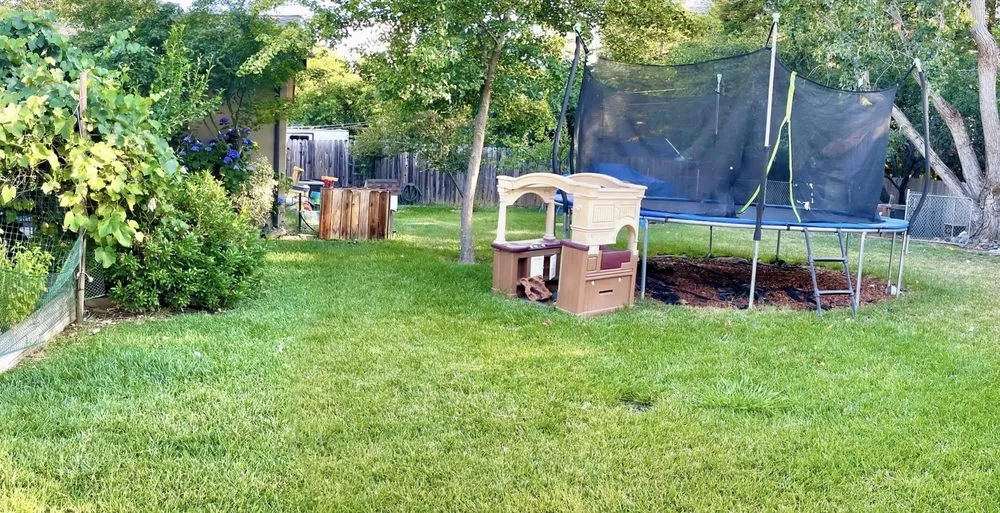 Reliable yard cleanup service for homes across Sacramento, CA - California Backyard Solutions