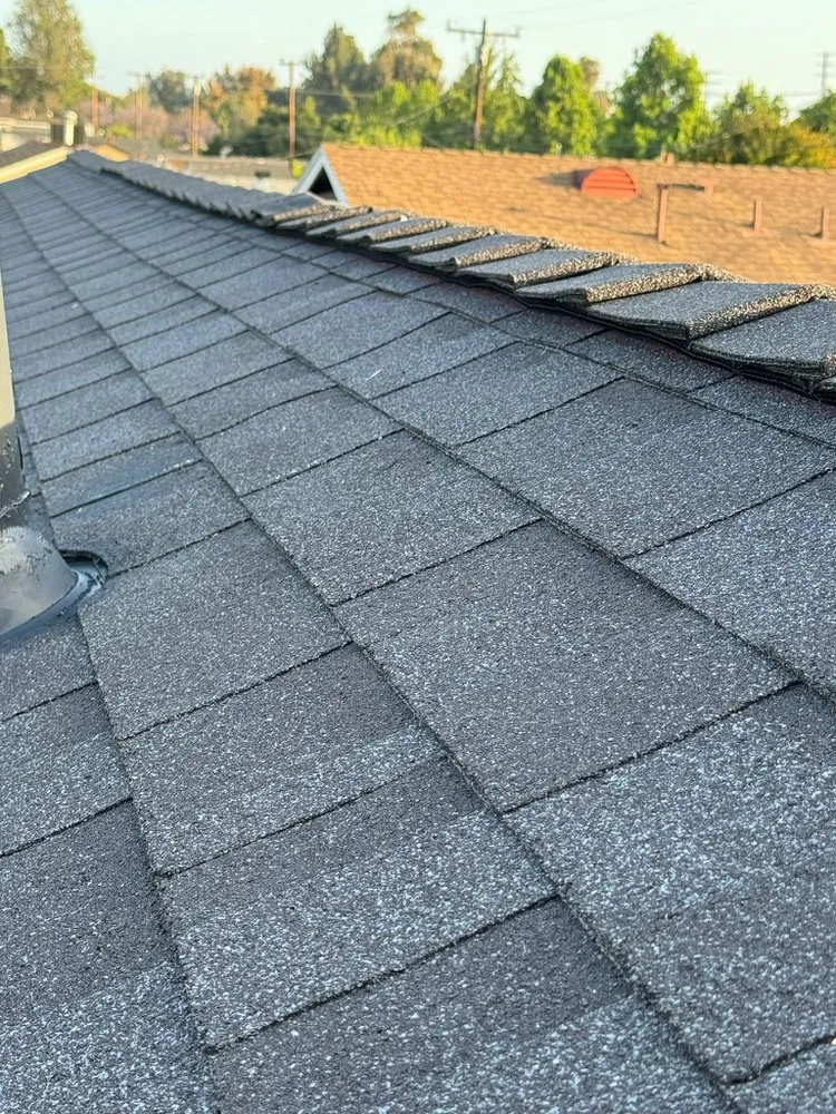 Reliable yard cleanup service for beautiful yards in Signal Hill, CA by California Coast Construction