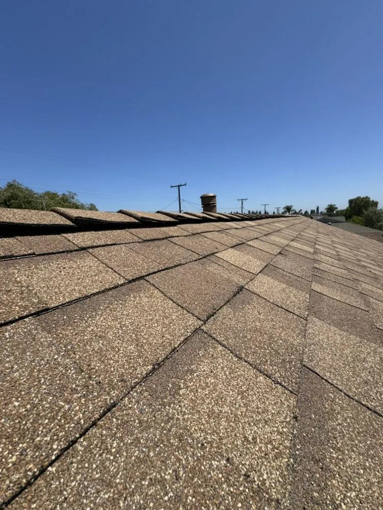 Professional garden landscaping experts serving Signal Hill, CA - California Coast Construction