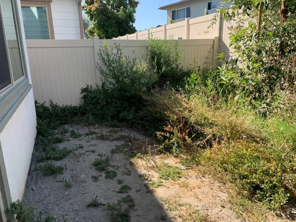 Local outdoor landscaping in Santa Ana, CA - California Coast Contracting