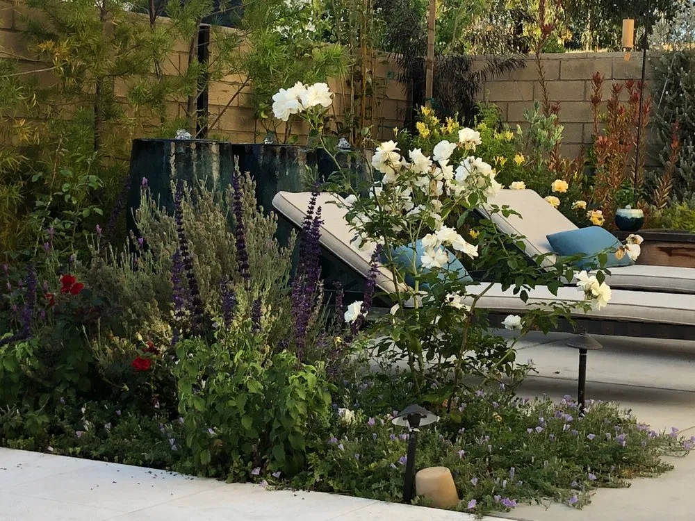 Professional residential landscaping in Santa Ana, CA by California Coast Contracting