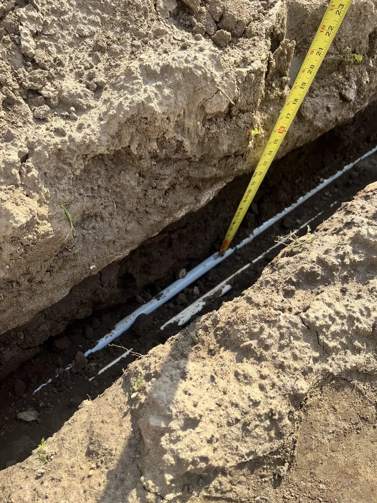 Reliable yard cleanup service for year-round maintenance across Dinuba, CA - California Concepts