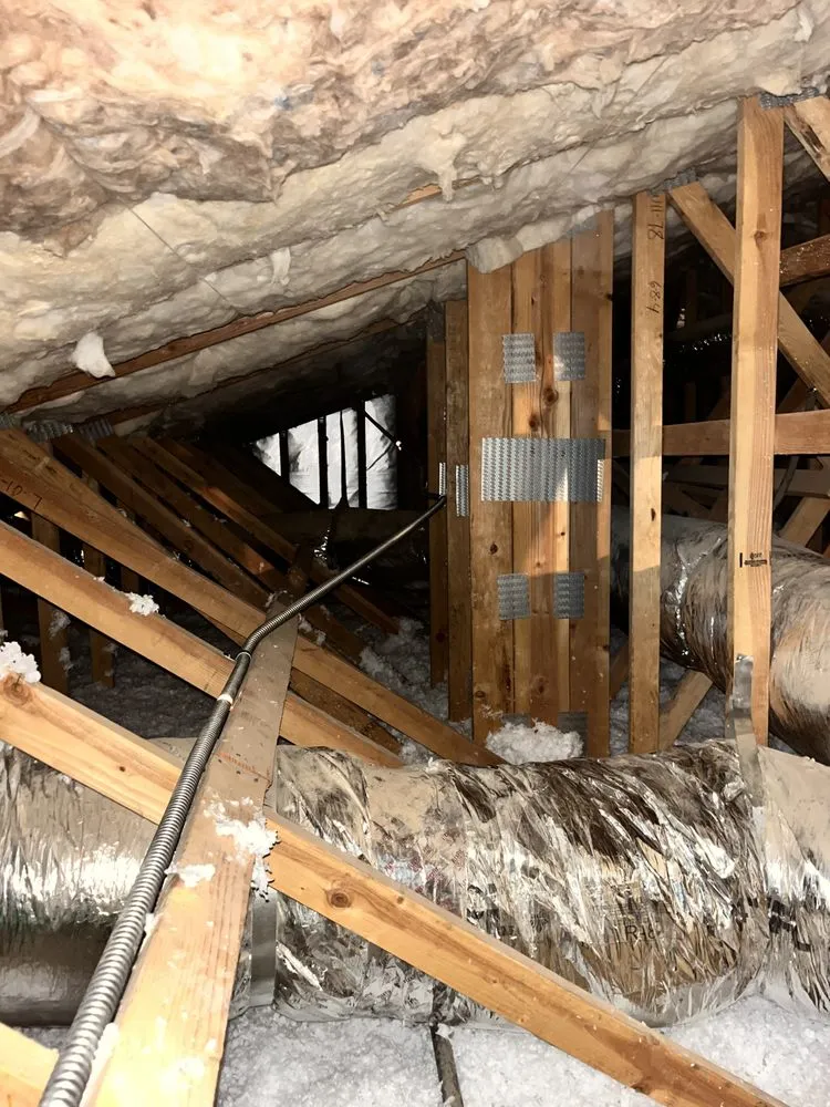 Reliable yard cleanup service for year-round maintenance across Dinuba, CA - California Concepts