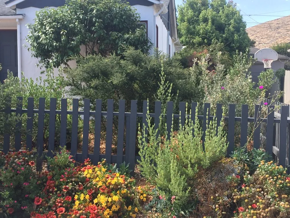 Custom landscape design for homes in San Luis Obispo, CA by California Cottage Gardens
