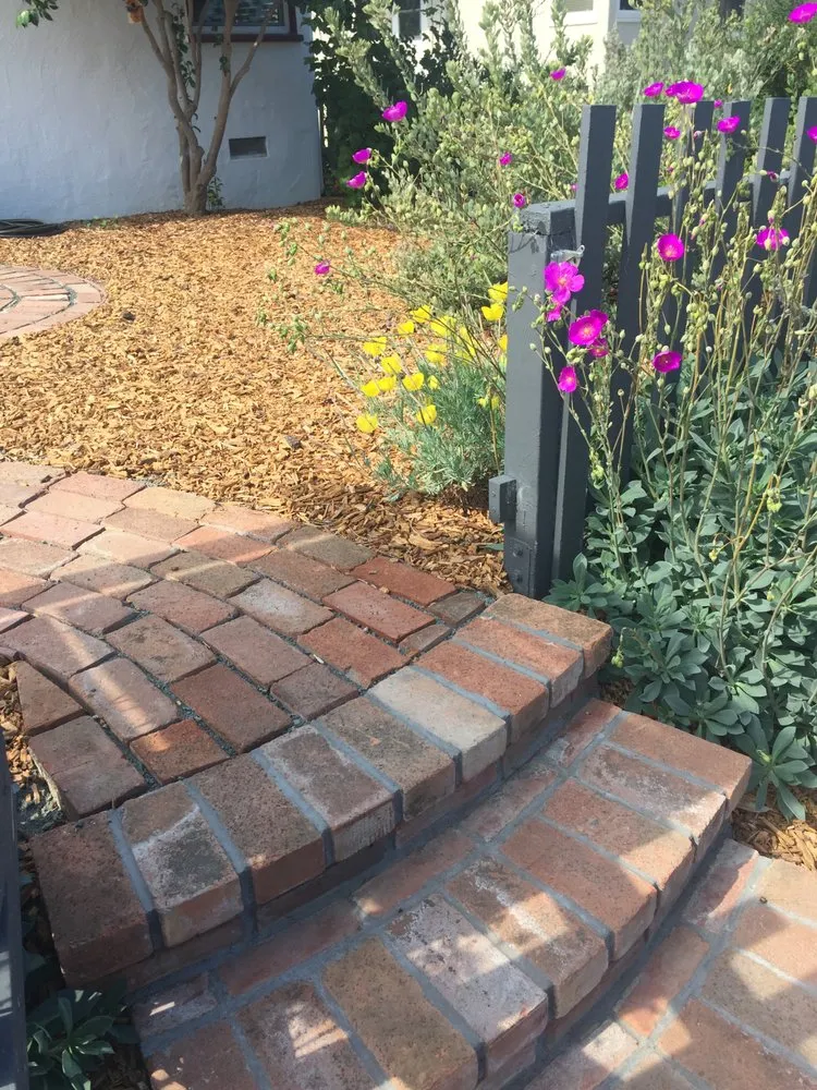 Local landscaping services for homes across San Luis Obispo, CA - California Cottage Gardens
