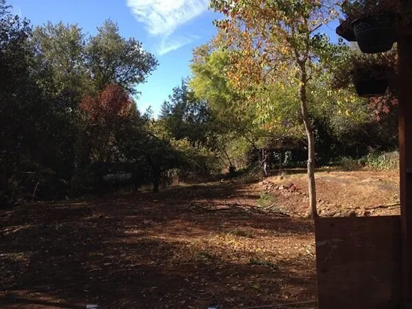 Trusted landscaping services with custom design across Roseville, CA - California Creative Surfaces