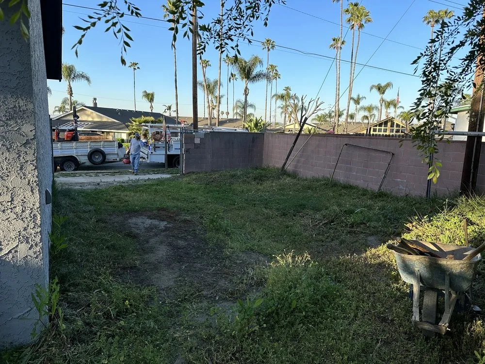 Affordable landscaping services in Chino, CA by California Custom Landscape