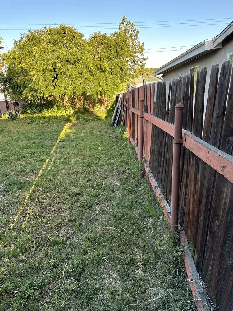 Expert lawn care service in Chino, CA - California Custom Landscape