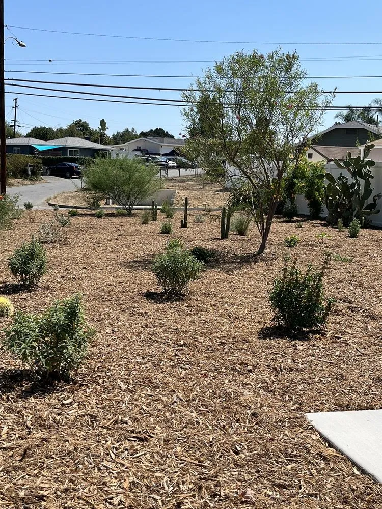 Top-rated residential landscaping experts serving Chino, CA - California Custom Landscape