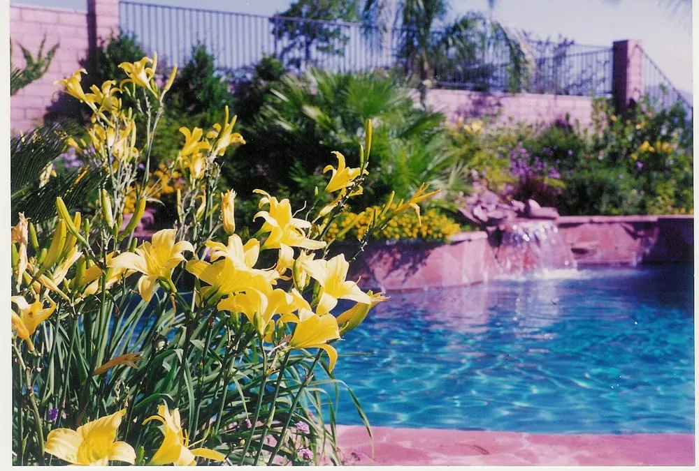 Local yard maintenance in Murrieta, CA by California Custom Landscapes