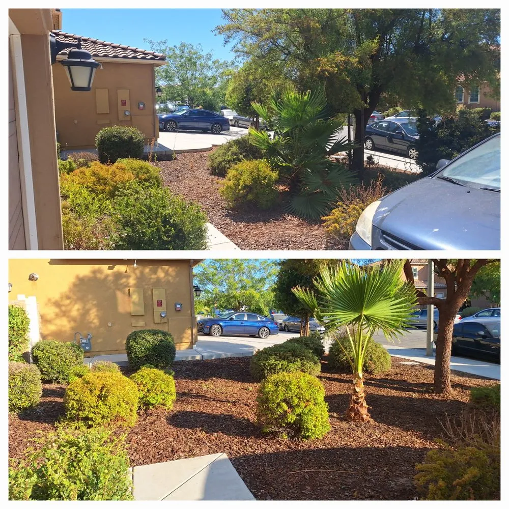 Professional landscaping services for residential properties in Nuevo, CA by California Dream Scape