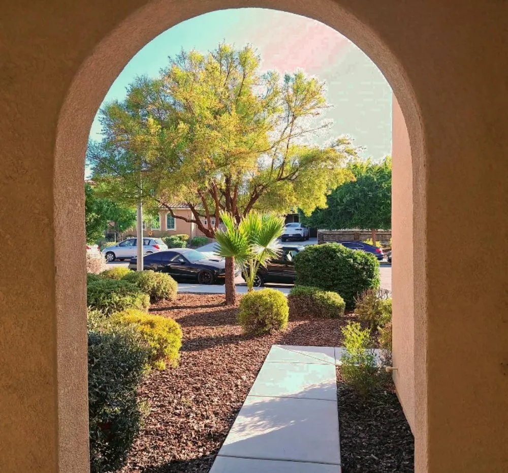 Affordable outdoor landscaping for residential properties in Nuevo, CA by California Dream Scape