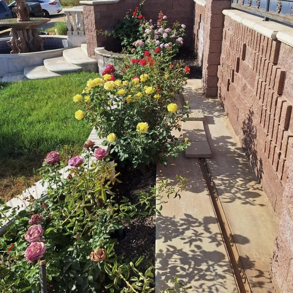 Local residential landscaping experts serving Nuevo, CA - California Dream Scape