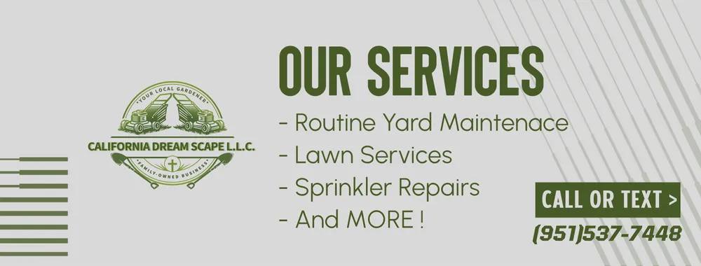 Top-rated landscape installation experts serving Nuevo, CA - California Dream Scape