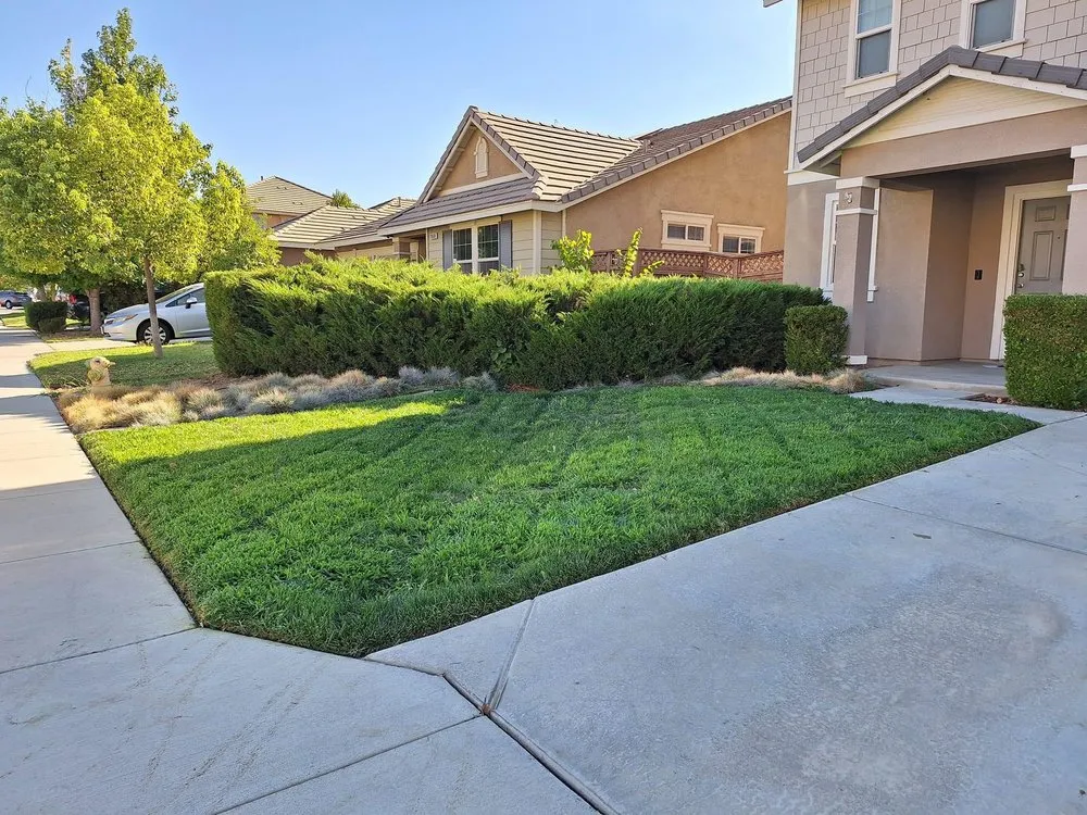 Trusted landscape design in Nuevo, CA by California Dream Scape