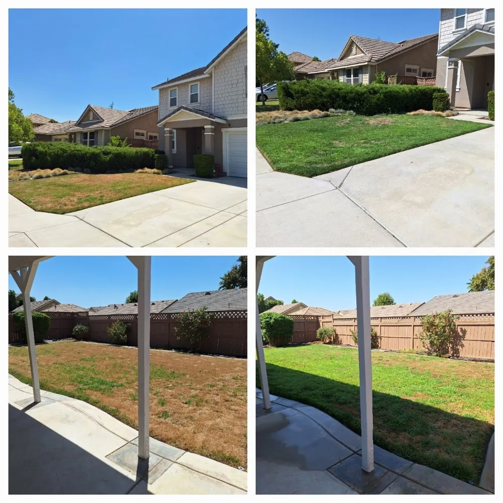Top-rated yard cleanup service in Nuevo, CA - California Dream Scape