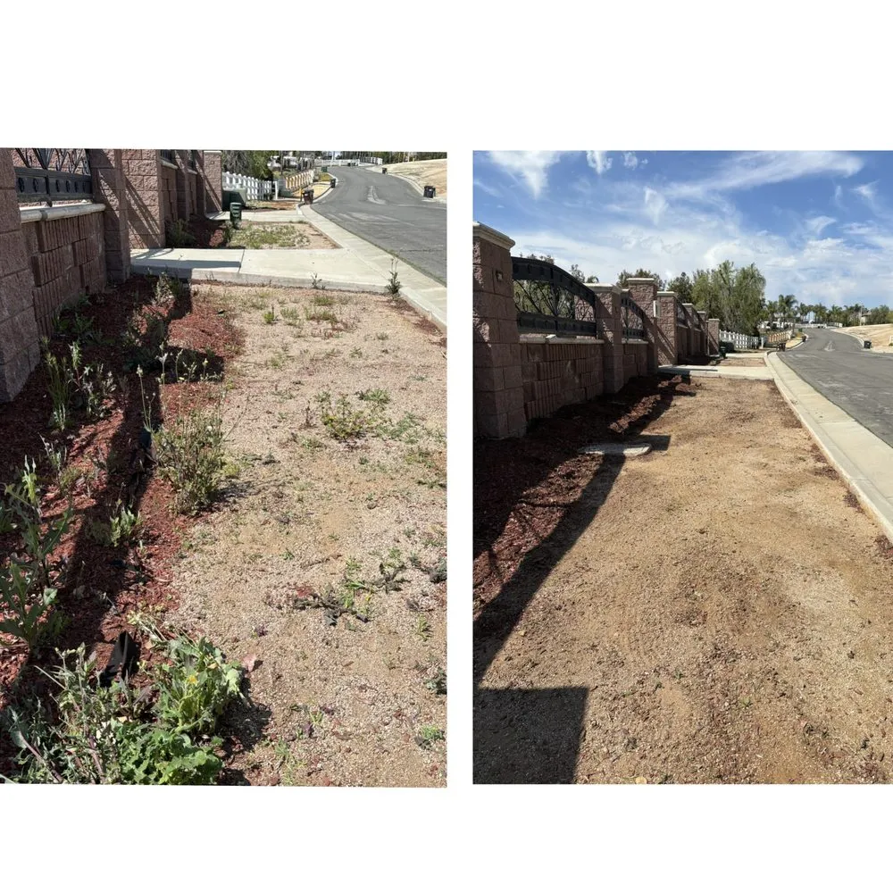 Professional lawn care service in Nuevo, CA by California Dream Scape