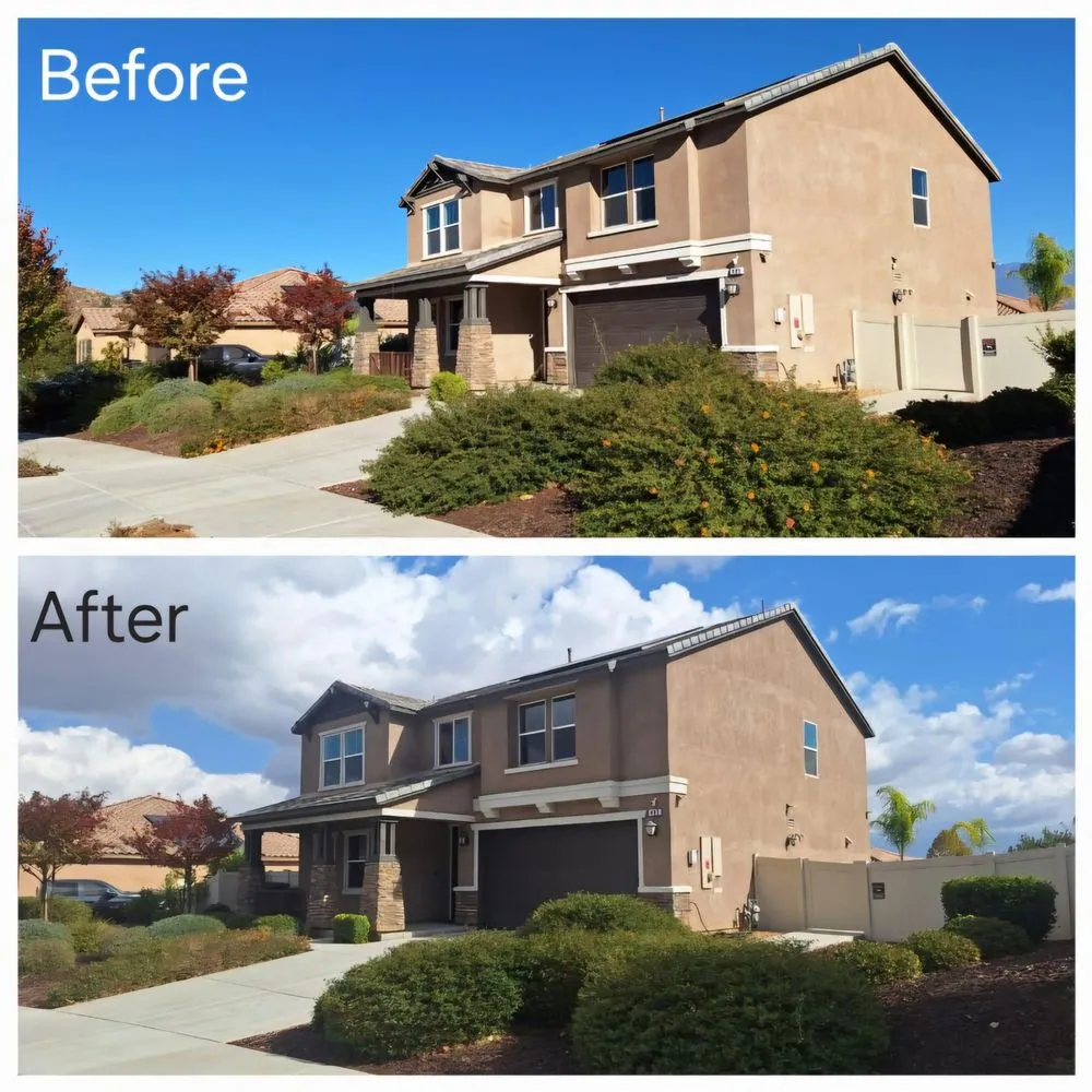 Affordable yard cleanup service for year-round maintenance in Nuevo, CA by California Dream Scape