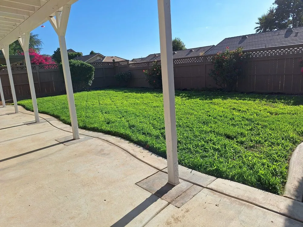 Affordable outdoor landscaping for year-round maintenance in Nuevo, CA by California Dream Scape