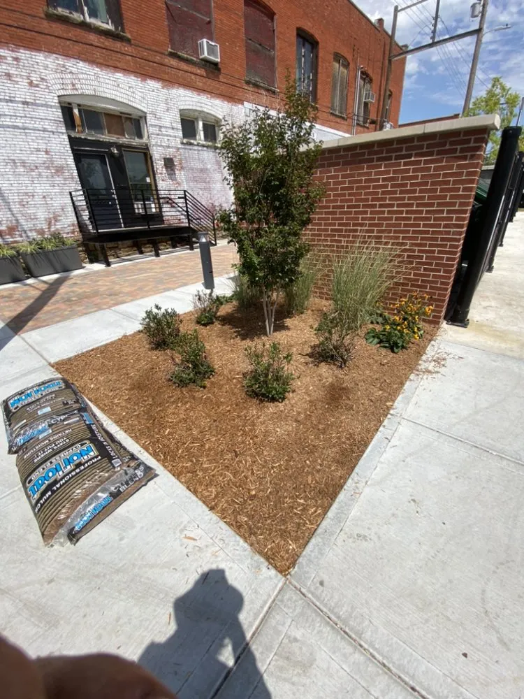 Professional landscaping services experts serving Larkspur, CO - California Dreaming Irrigation
