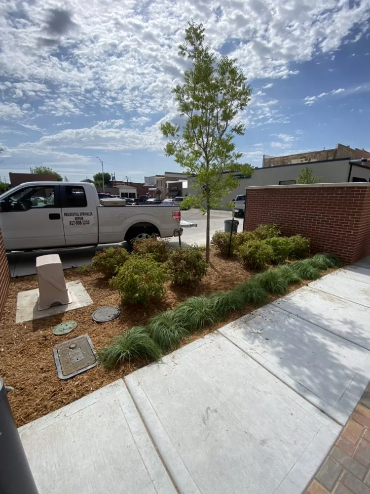 Professional yard cleanup service for homes across Larkspur, CO - California Dreaming Irrigation
